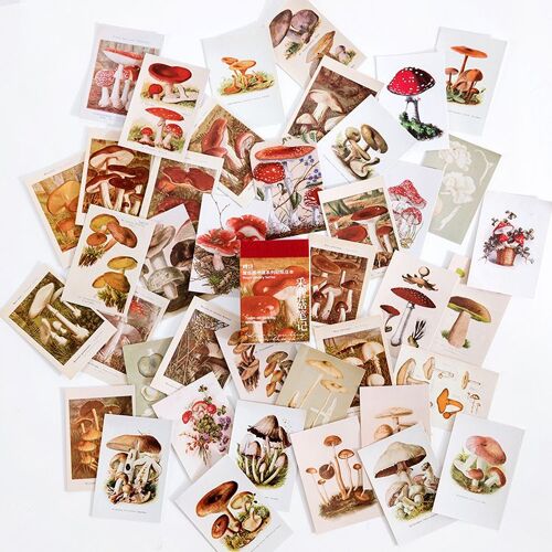 Ensemble D'autocollants Washi Vintage, ?Tiquette Auto-Adh?Sive Décorative, Scrapbooking Esth?Tique Pour Journal Intime, 50 Pi?Ces