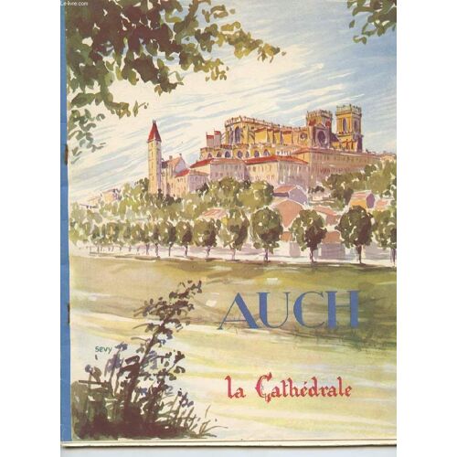 La Cathedrale D'auch ( Basilique Metropolitaine )