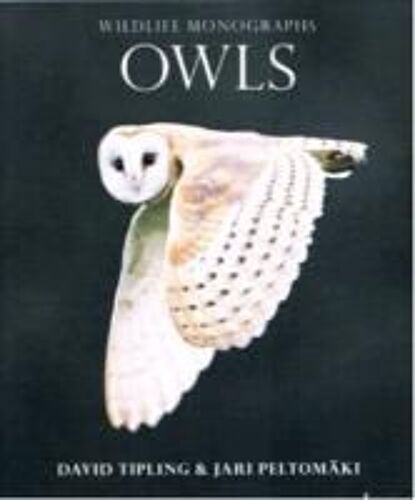 Owls