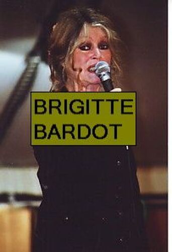 Photo 10x15cm Actrice Chanteuse Francaise Brigitte Bardot