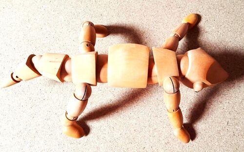 Mannequin Lézard En Bois Articulé