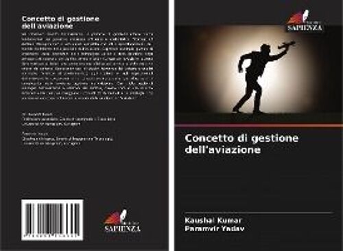 Concetto Di Gestione Dell'aviazione