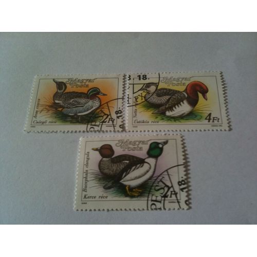Lot De 3 Timbres Canards Hongrie 1988