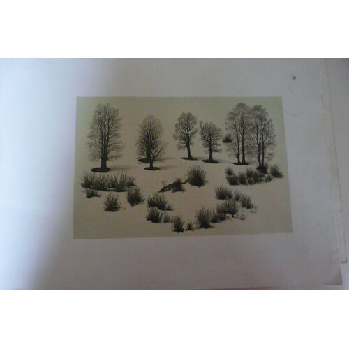 Arbres