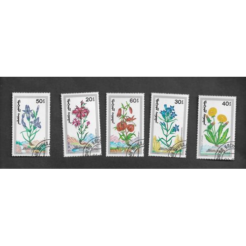 Fleurs