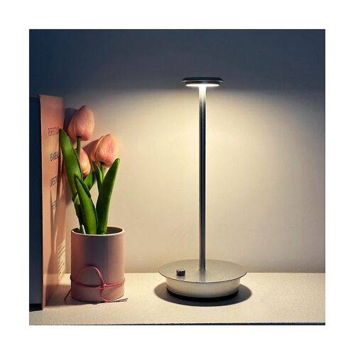 Led Métal Étanche Rechargeable Lampe De Bureau Tactile Gradation Métal Lampe De Table Pour Bar Salon Lire
