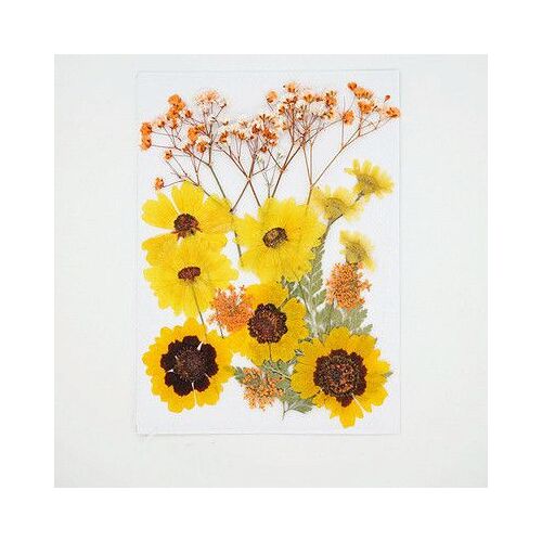 Moule En Résine Époxy Uv, Vraies Fleurs Séchées, Plantes Sèches, Remplissage De Moule, Bricolage, Collier Artisanal, Accessoires Pour La Fabrication De Bijoux, Décor D'art Des Ongles