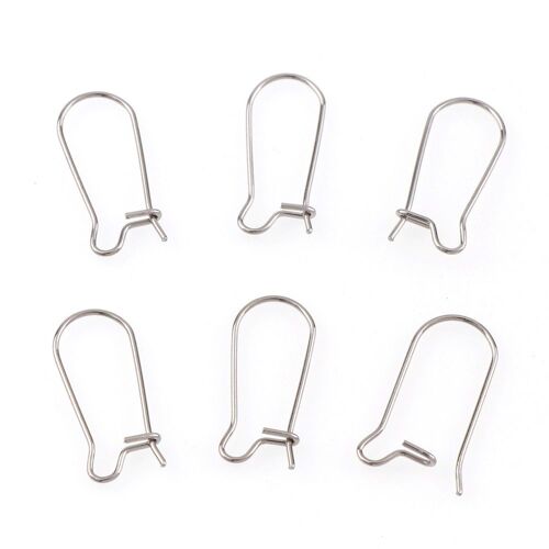 Crochet De Boucle D'oreille En Acier Inoxydable, Crochet À Levier Français, Bouchon Pour Bijoux À La Mode, Résultats De Bijoux À Faire Soi Même, 20 Pièces/Lot