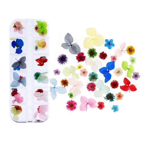 Fleur séchée en résine UV, 1 boîte, fleurs naturelles, feuille mixte, moule en époxy, ornements, accessoires de manucure