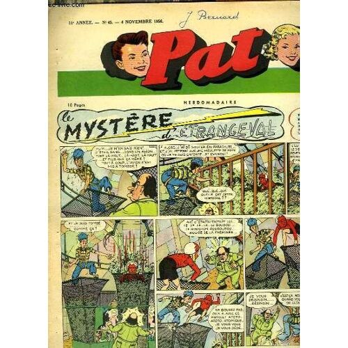 Pat N°45 - 11e Année : Le Monde Enchanté De Wolferl ...