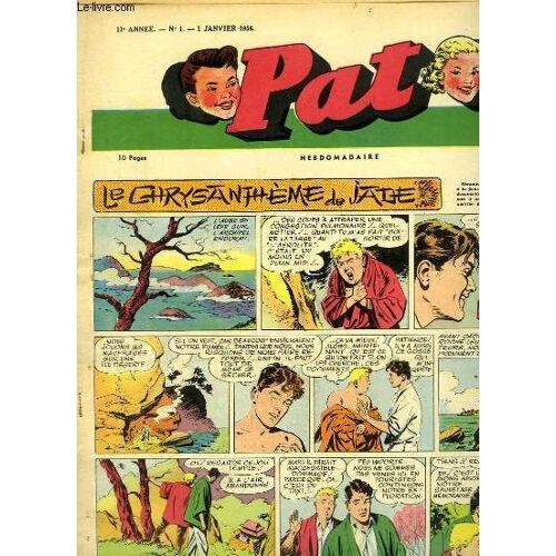 Pat N°1 - 11e Année : Comment Sont Filmés Les Animaux Sauvages