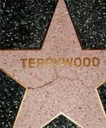 Terry Richardson: Terrywood