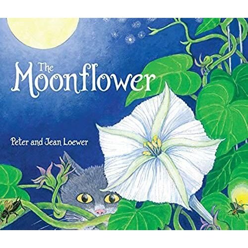 The Moonflower