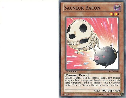 Sauveur Bacon Cblz Fr003