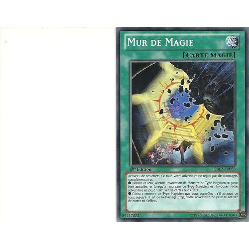 Mur De Magie Cblz Fr088