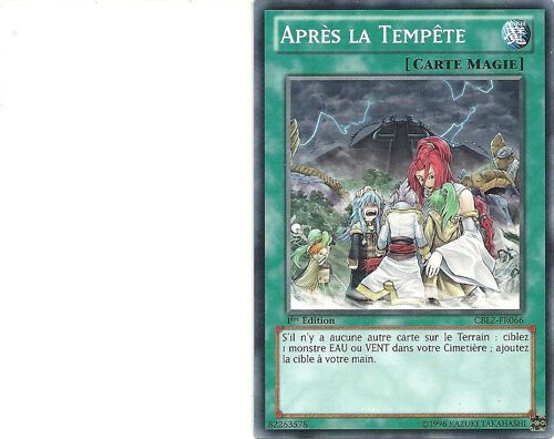 Après La Tempête Cblz Fr066