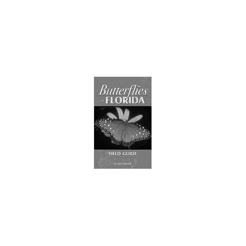 Butterflies Of Florida Field Guide