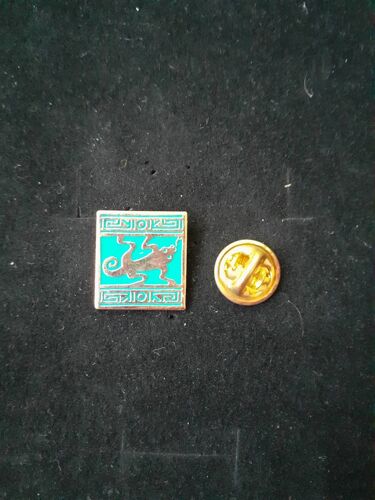 Pins Camel