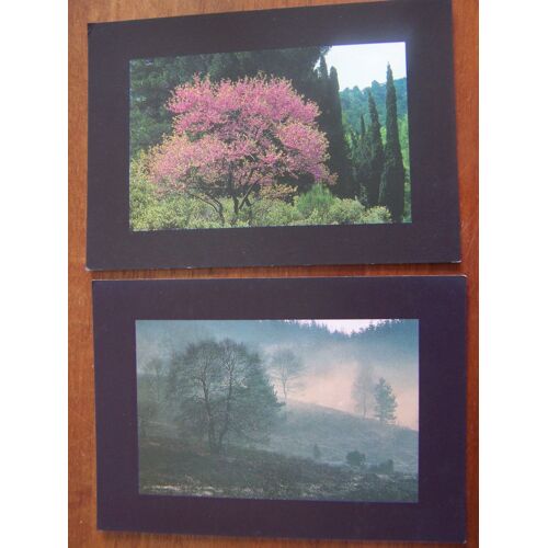 2 Cartes Postales Paysage Nature Arbre En Fleurs