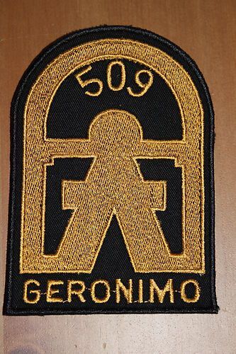 Insigne Tissu De Poitrine De La 509 Eme Pir  Regiment De Parachutiste De La 101 Eme Airborne Division  Bataille De Normandie Ww2