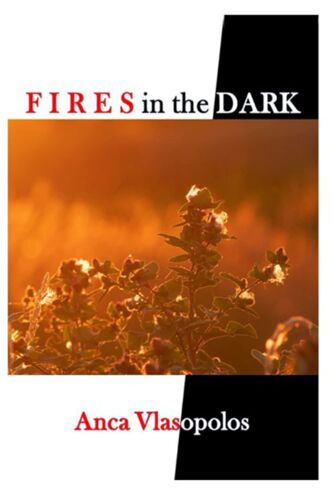 Fires In The Dark