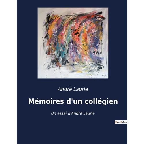 Mémoires D'un Collégien