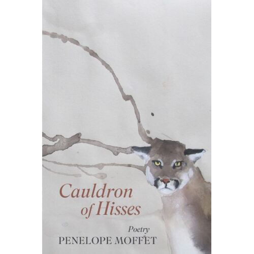 Cauldron Of Hisses