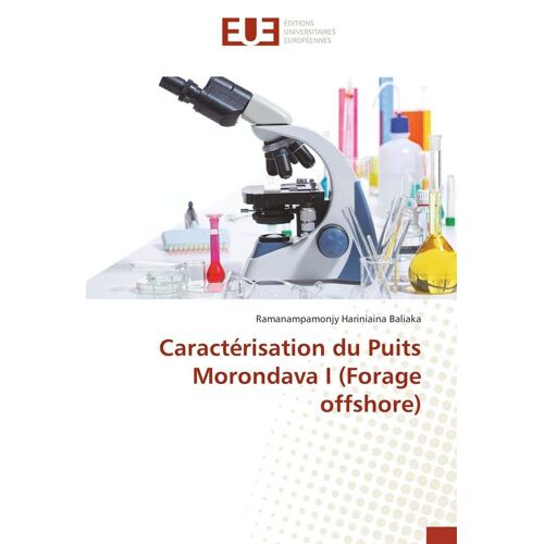 Caractérisation Du Puits Morondava I (Forage Offshore)