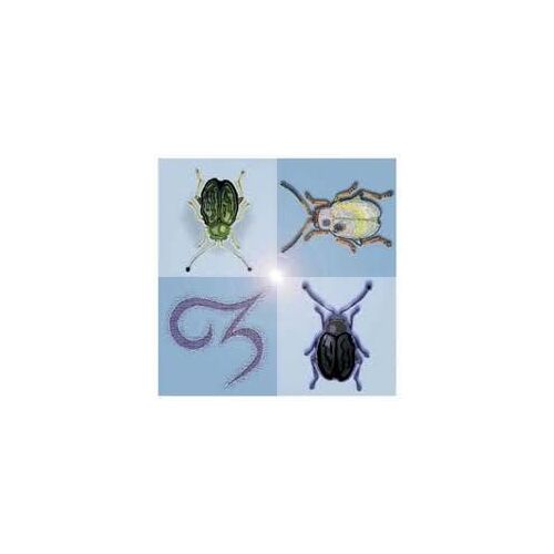 Queer Bugs