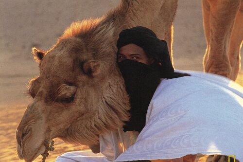 Carte Postale - Maroc-Merzouga - Culture - Costumes Traditions