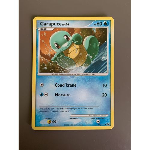 Carapuce 96/127 Base Pv60