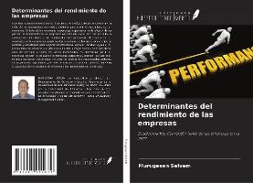 Determinantes Del Rendimiento De Las Empresas