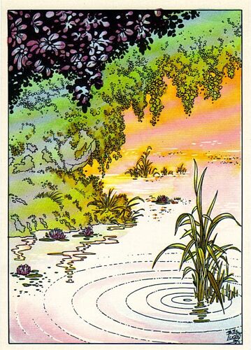 Carte Postale Elfémères Philippe Luguy