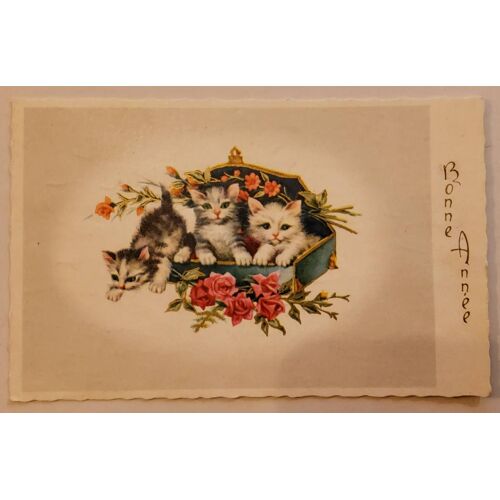 Carte Postale Ancienne Ref 69,V?Ux, Chatons Dans Une Boîte