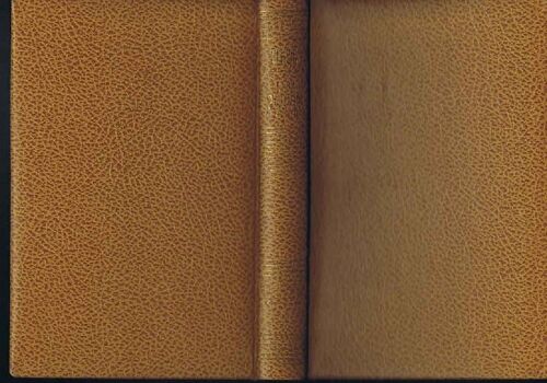 Feux D' Artifice A Zanzibar