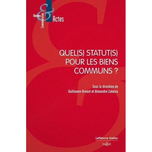 Quel(S) Statut(S) Pour Les Biens Communs ?