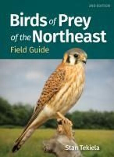 Birds Of Prey Of The Northeast Field Guide