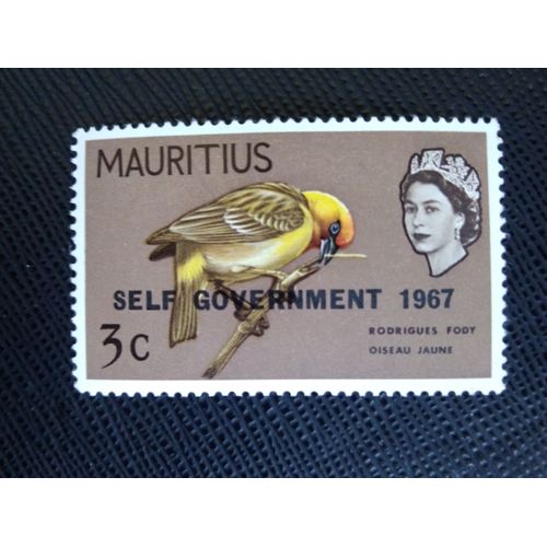 Timbre Ile Maurice Y T 297 Rodrigues Fody (Surimpression De L Autonomie Gouvernementale) 1967 ( 170808 )