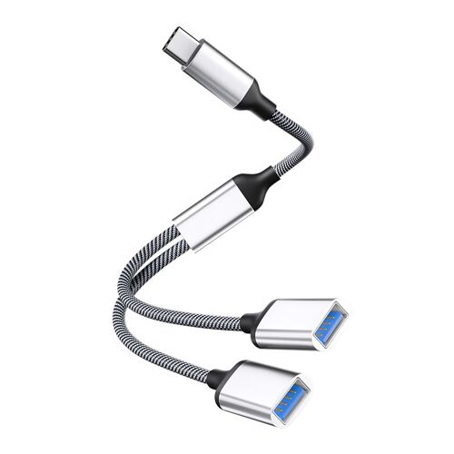 Adaptateur Type-C vers double USB 2.0 Argent