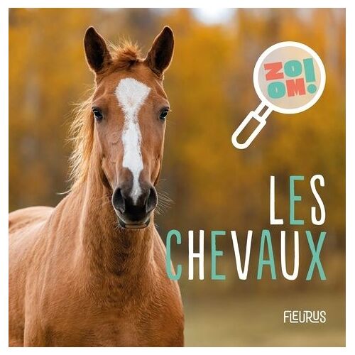 Les Chevaux