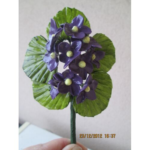 Violettes Porcelaine Froide