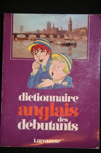 Dictionnaire Anglais Des Débutants