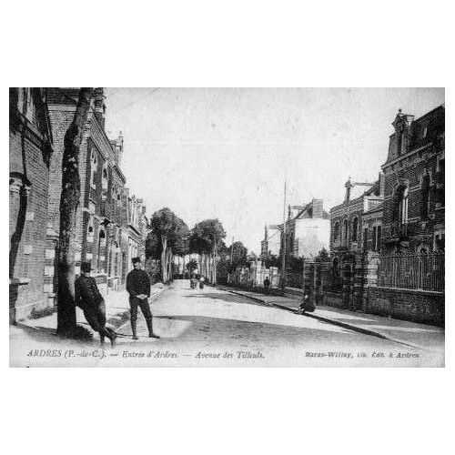 Ardres (Pas De Calais) Entrée D'ardres, Avenue Des Tilleuls (Baras-Willay, Édit. À Ardres)