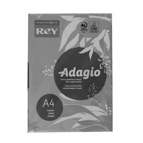 Adagio Ramette De Papier 500 Feuilles A4 80g Coloris Vert Intense
