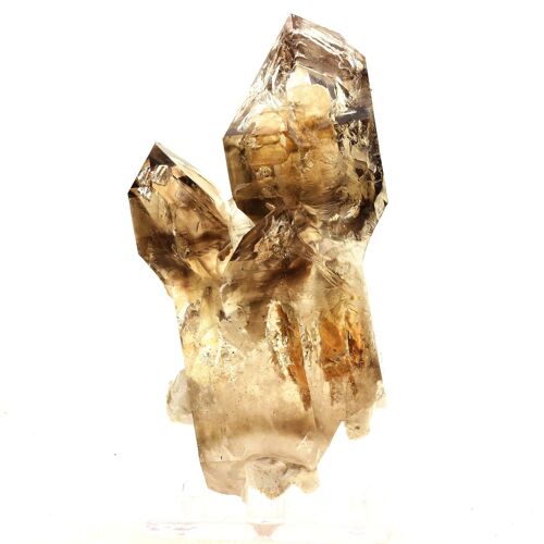 Quartz Fumé Sceptre. 1046.5 Ct. Minas Gerais, Brésil.