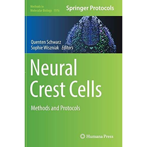 Neural Crest Cells
