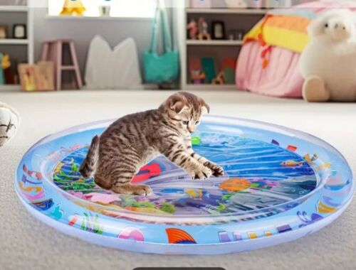 Tapis De Jeu Gonflable Pour Chats