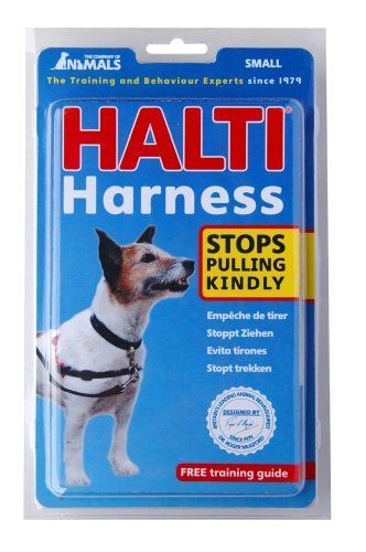 Harnais DÉducation Halti Pour Chien Désignation : Harnais Halti | Taille : Taille 1 Halti 190078