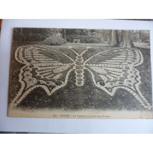 76 Rouen - Le Papillon Du Jardin Des Plantes