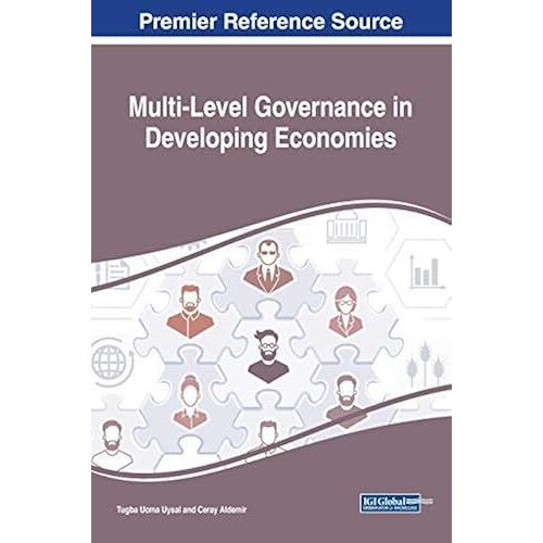 Multi-Level Governance In Developing Economies